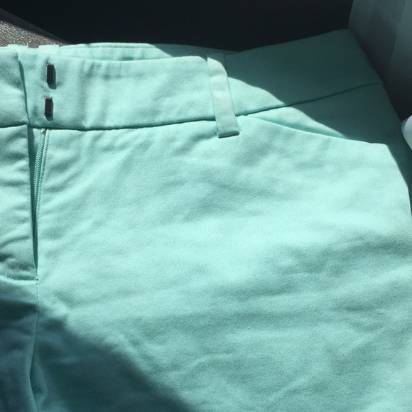 Robin’s egg blue shorts - Picture 2 of 7